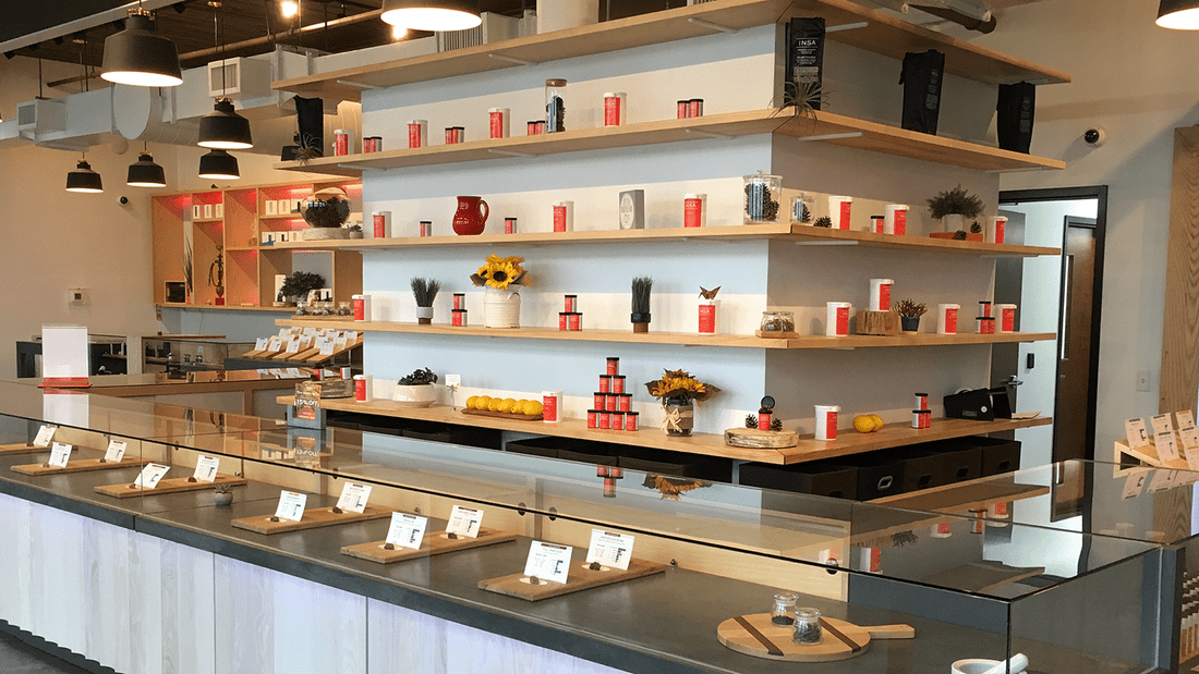 INSA - Easthampton (Medical) Website