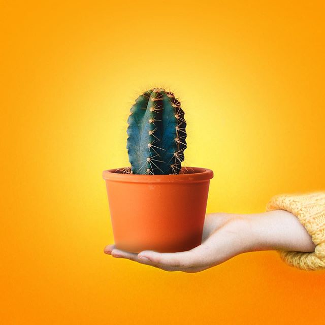 Verilife – Rockville Website