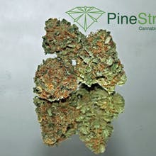 Pine Street Cannabis Company Website