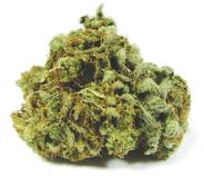 The Humboldt Connection Website