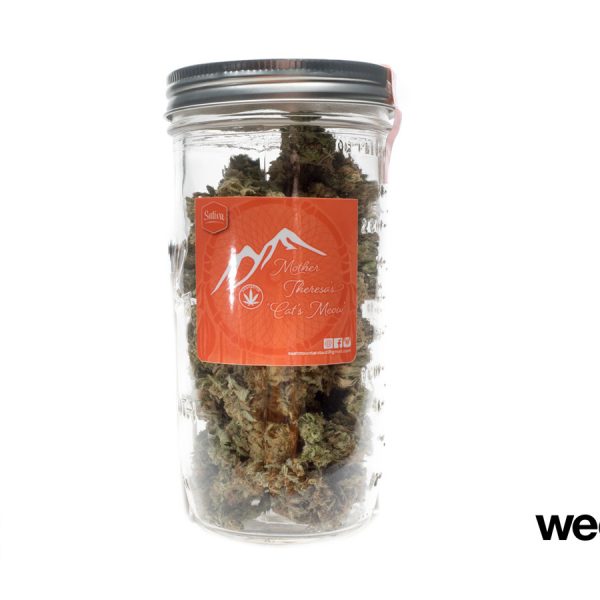 A Greener Today - Lynnwood Website