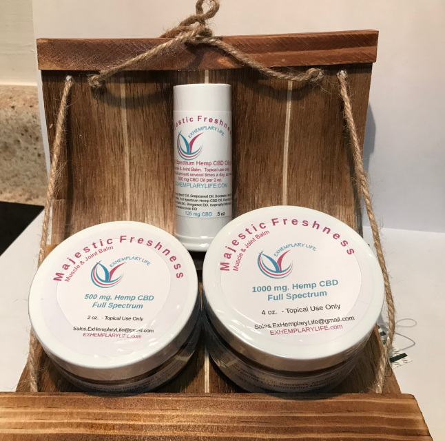 Exhemplary Life Website