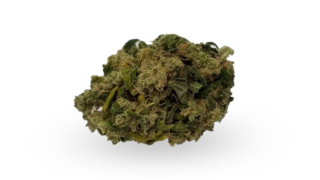 Nature's Medicines - Fall River Website