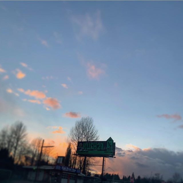 Kush21 - Pullman Website