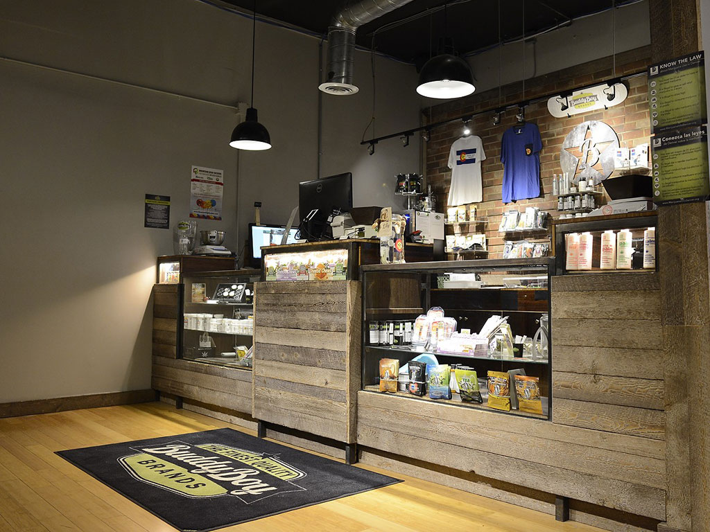 Buddy Boy Walnut - Rino Website