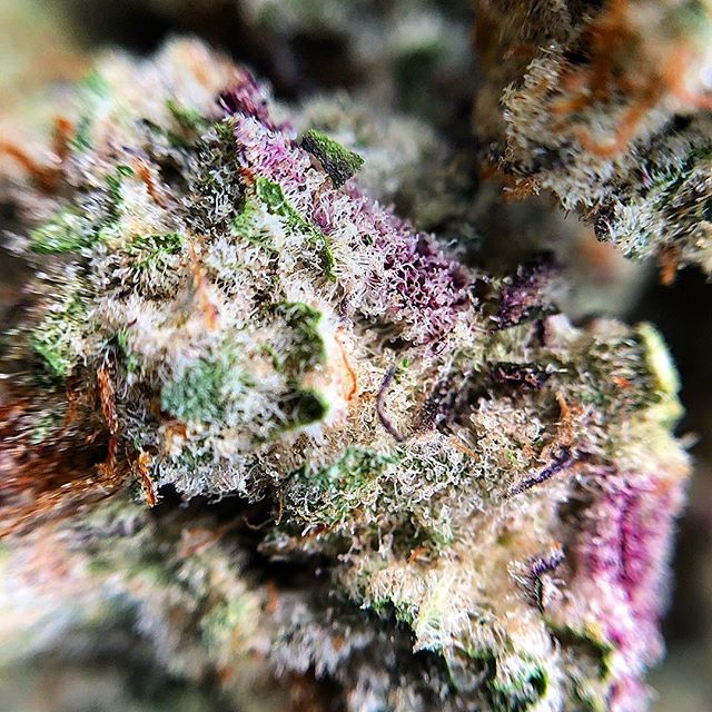 Wolf Pac Cannabis - Federal Blvd Website