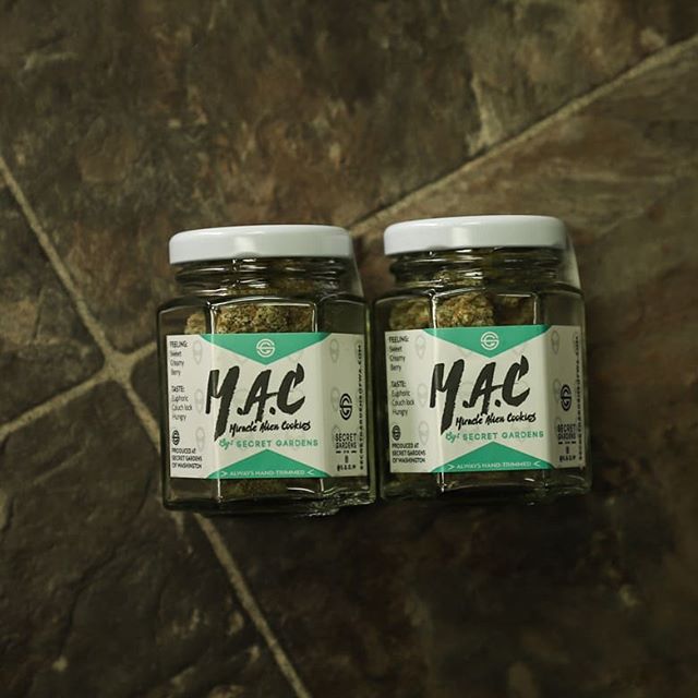 Fillabong - Silverdale Website