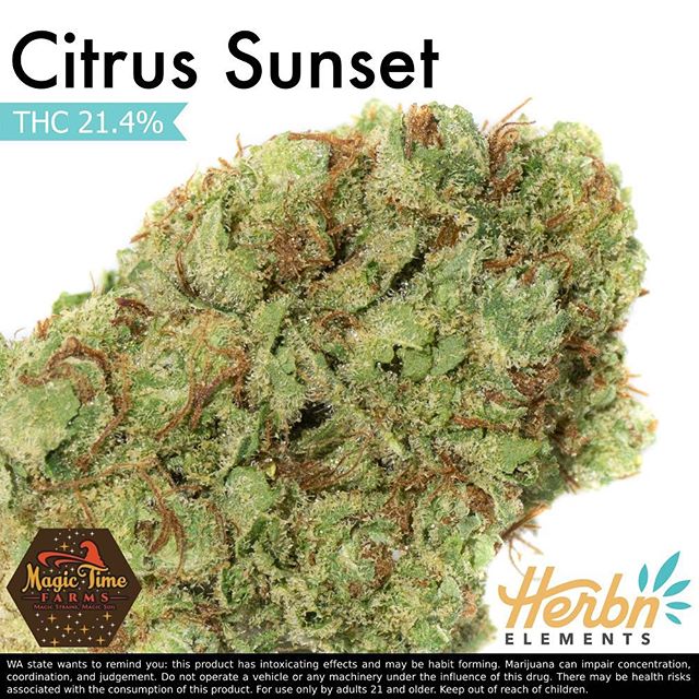 Herbn Elements – Lake City, Seattle Website