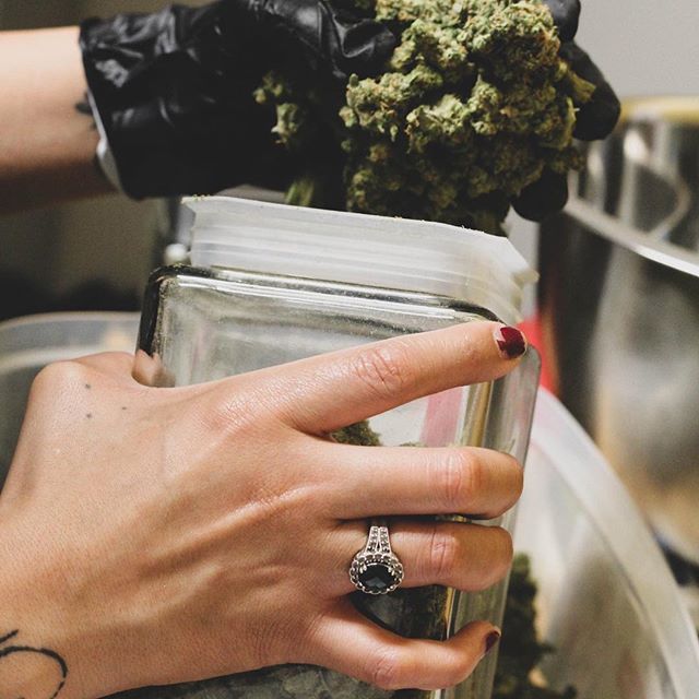 Elevated Longmont Website