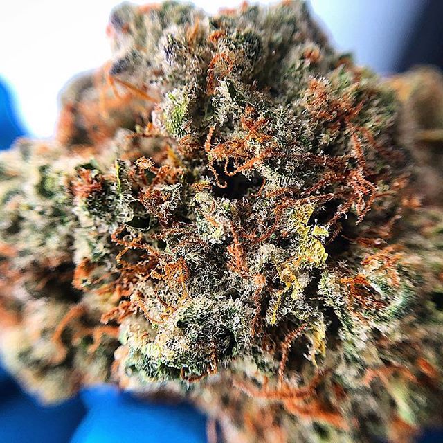 Wolf Pac Cannabis - Federal Blvd Website