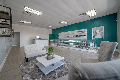 CBD Plus USA - Medical Marijuana Dispensary - Constitution Website