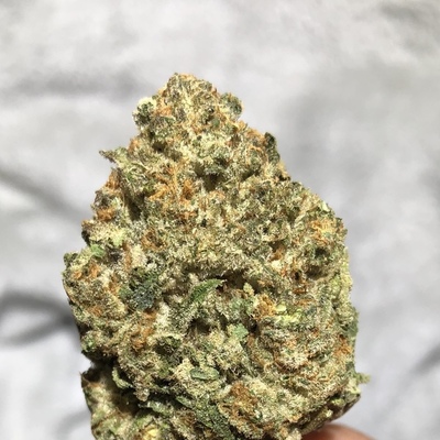 Bronto Delivery Website