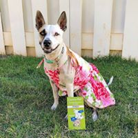 Canna Pet (complaints, FDA found little CBD) Website