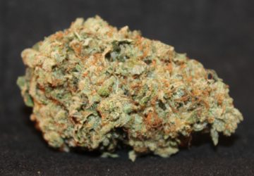 Green Fellas Website