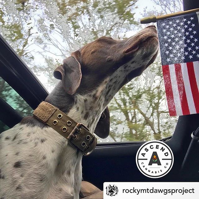 Ascend - Denver Website