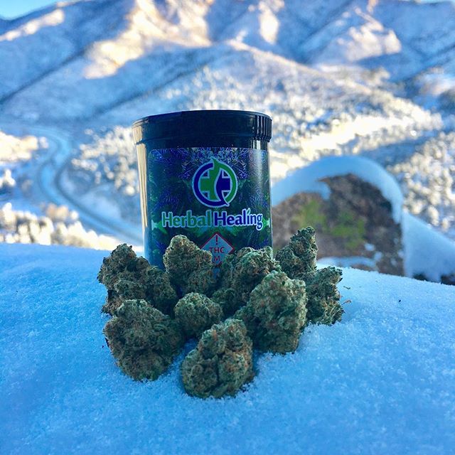 Herbal Healing Website