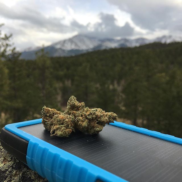 Herbal Healing Website