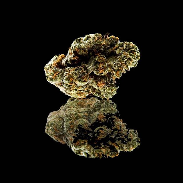 Reef Dispensaries - Queen Creek, AZ Website