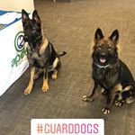 Apeks Super Critical Systems Website