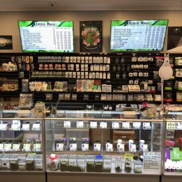 Canto Diem Collective Website