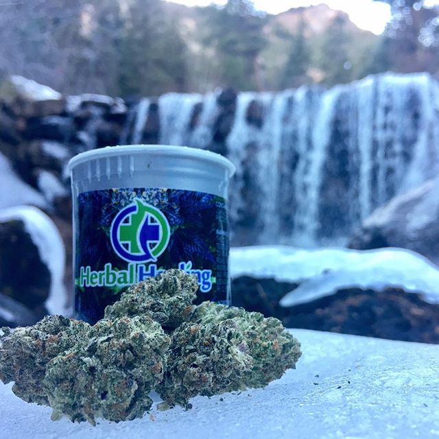 Herbal Healing Website