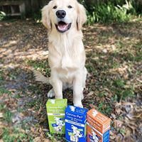 Canna Pet (complaints, FDA found little CBD) Website