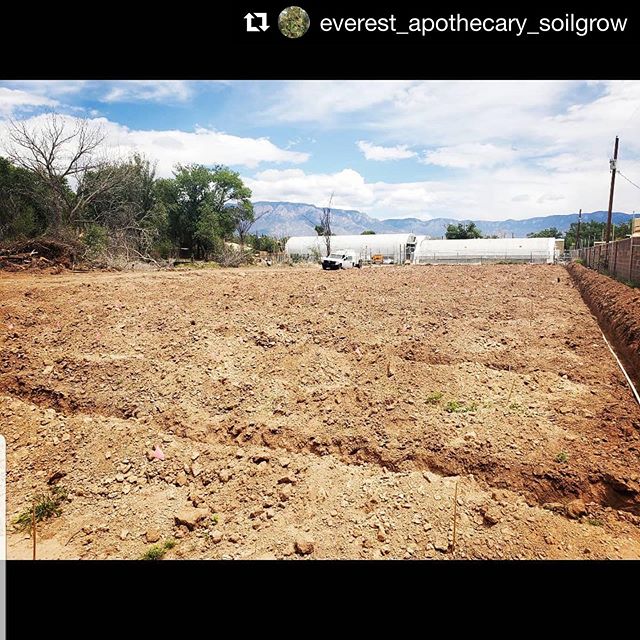 Everest Apothecary - Northeast Heights Website