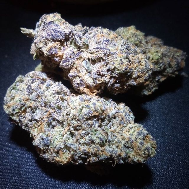 Budlandia - Division St. Website