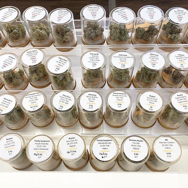 Synergy Redding Website