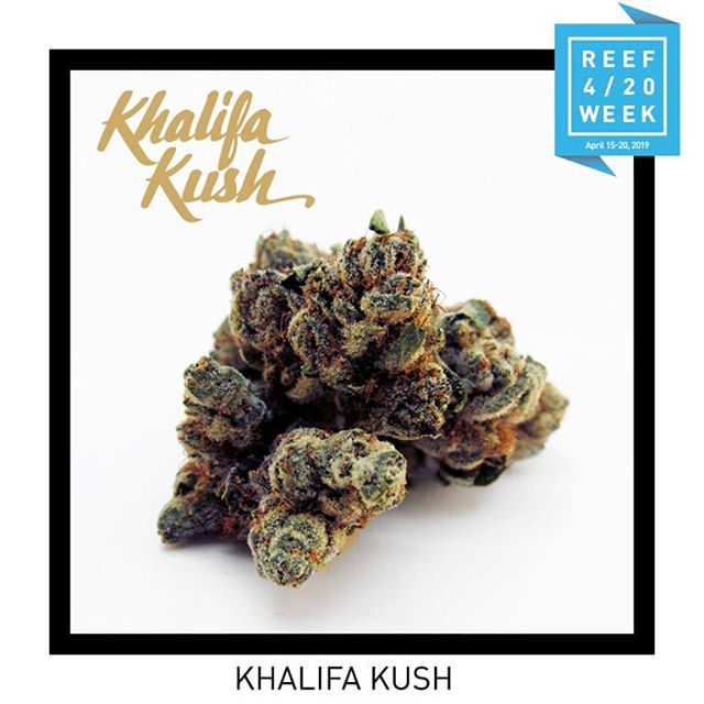 Reef Dispensaries - Queen Creek, AZ Website