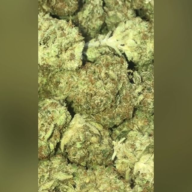 Sacred Seed Medical Dispensary Website