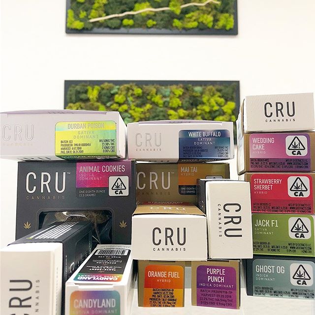 Synergy Redding Website