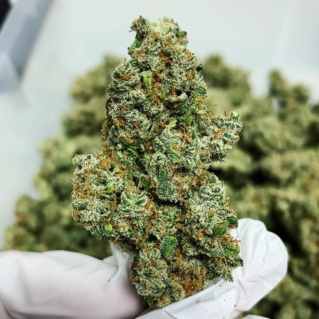 Stellar Cannabis Co. Website