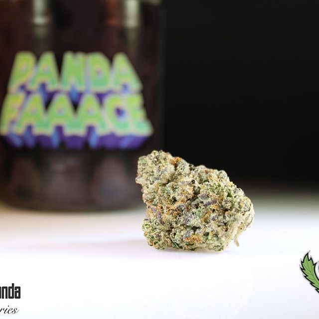 Loving Farms - Mount Vernon Website