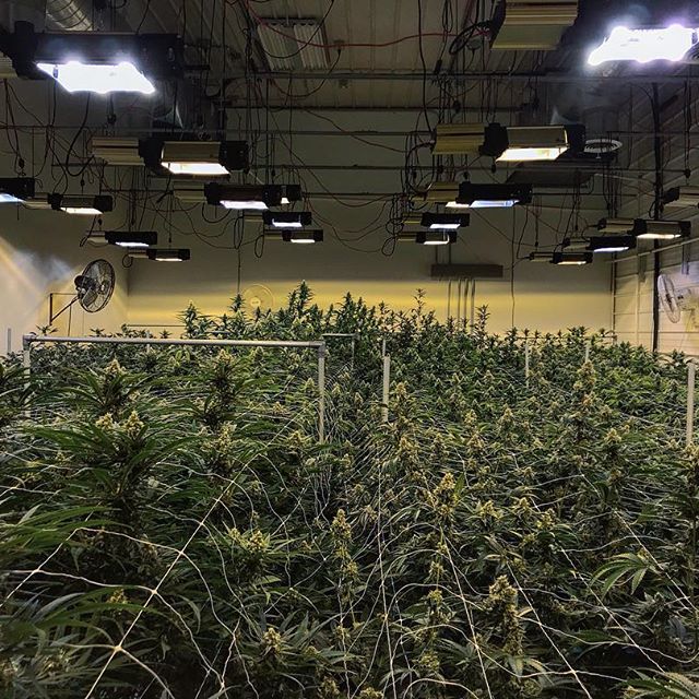 Spark1 - Missoula Website