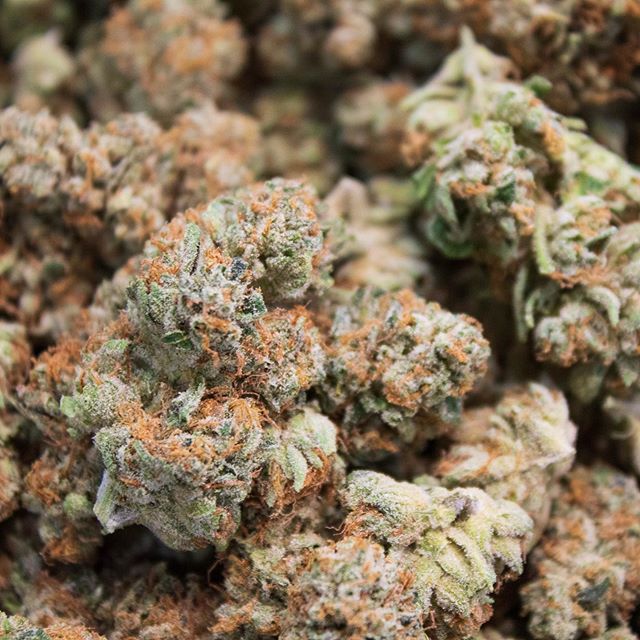 Denver Dispensary - Medical Website