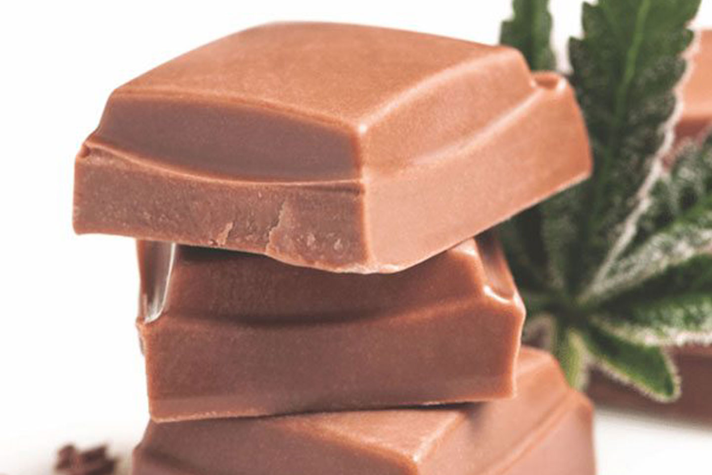 Mynt - Downtown Reno Website