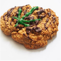 Baked Baker’s Box Website