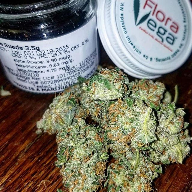 CANOPI - North Las Vegas Website