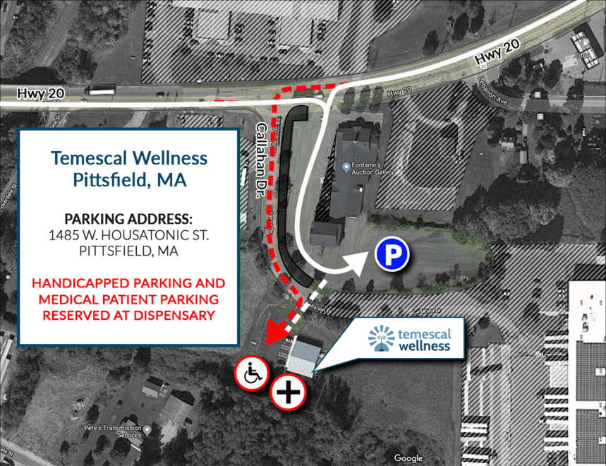 Temescal Wellness - Pittsfield (Rec) Website