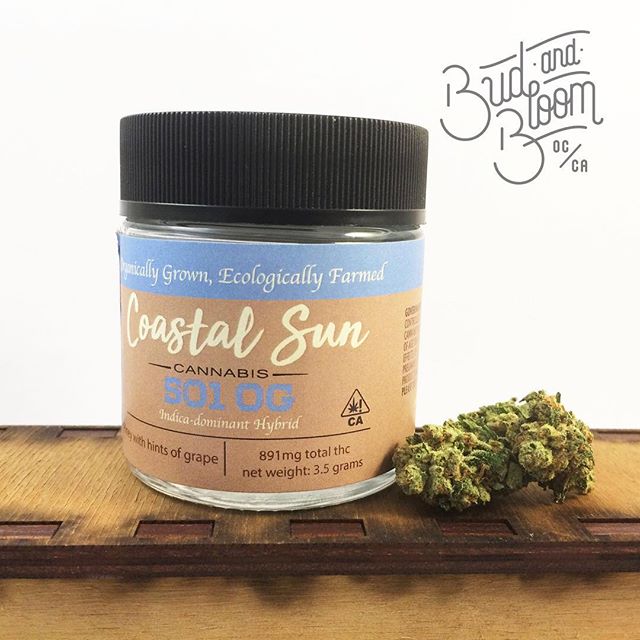 Bud and Bloom - Santa Ana Website