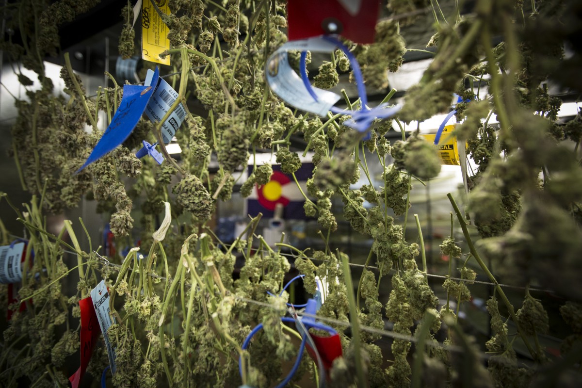 Medicine Man Denver Website