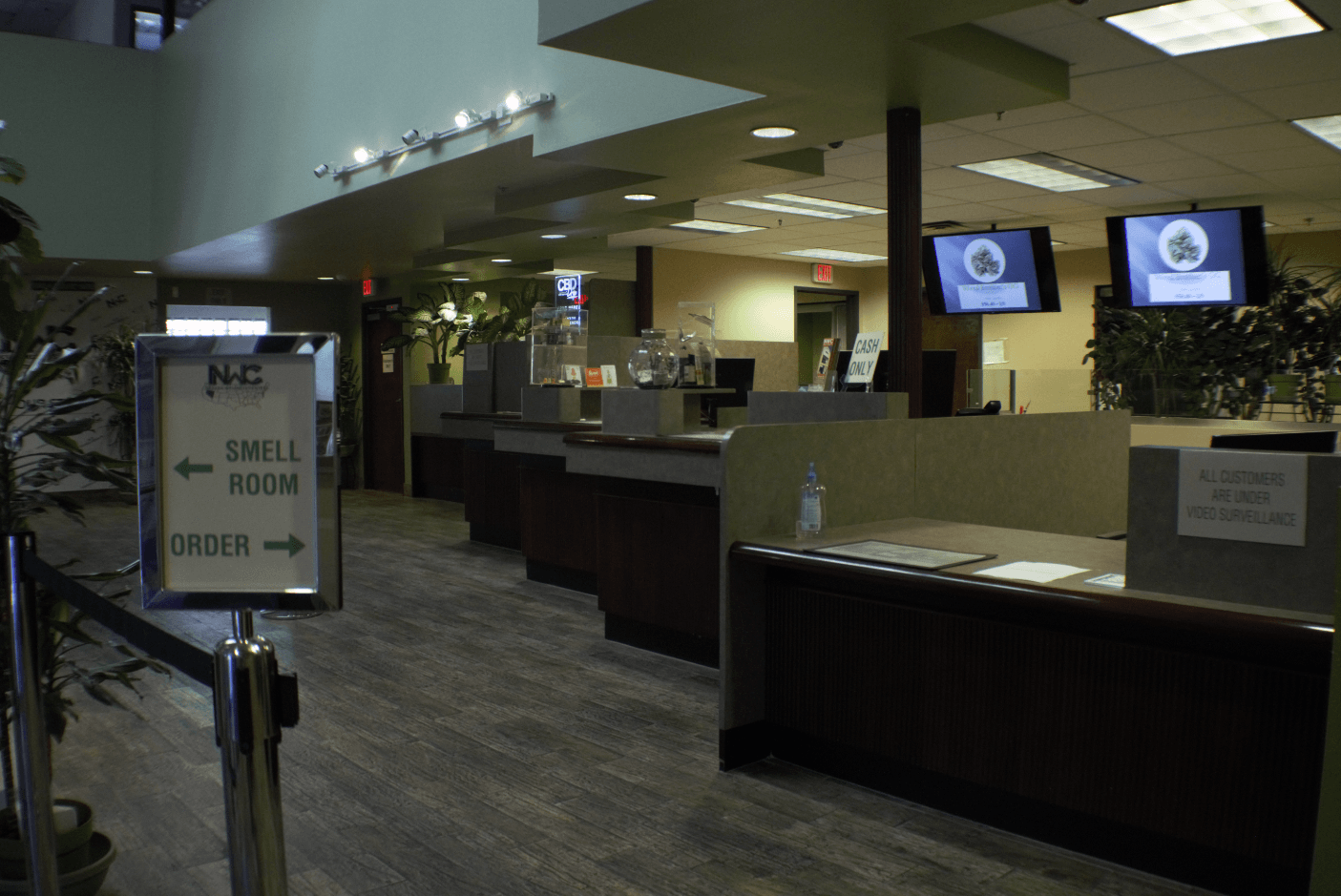 Nevada Wellness Center Website