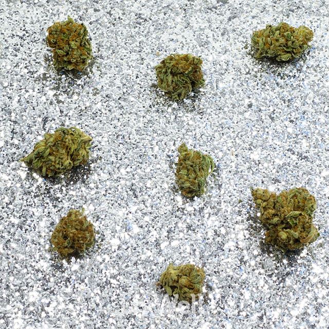 LivWell - Springfield Website