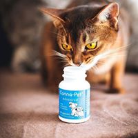 Canna Pet (complaints, FDA found little CBD) Website