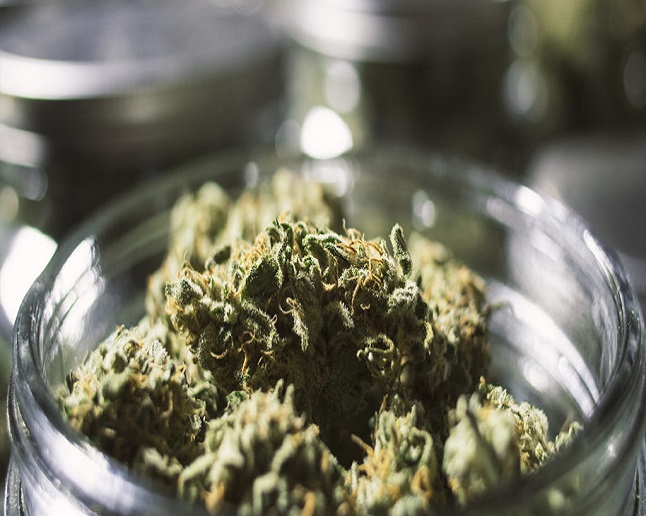 Locals Canna House - Spokane Valley Website