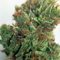 MassRoots Inc. Website