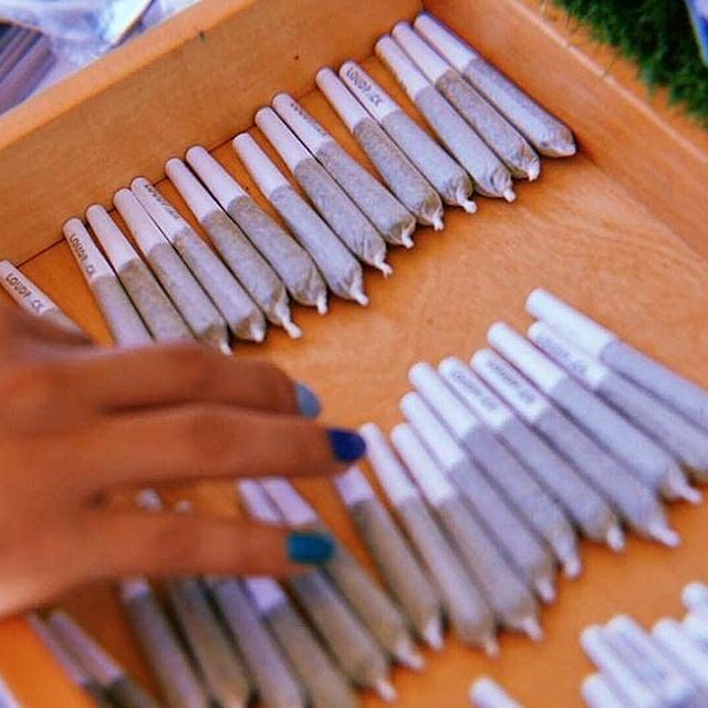 The Kind Center Website