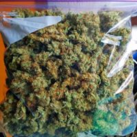 420EvaluationsOnline - Murrieta Website