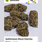 Canna Couriers Website